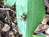 View photo in a new window