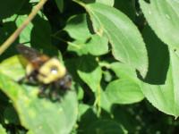 View photo in a new window