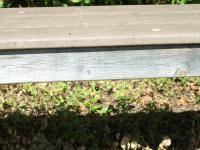 View photo in a new window