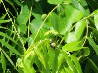 View photo in a new window