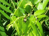 View photo in a new window