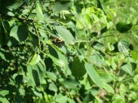 View photo in a new window