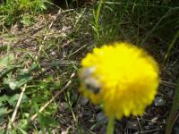 View photo in a new window