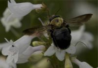 View photo in a new window