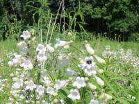 View photo in a new window