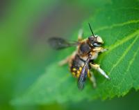 View photo in a new window