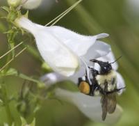 View photo in a new window