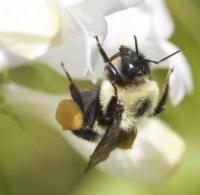 View photo in a new window