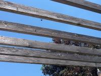 View photo in a new window