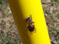 View photo in a new window