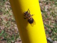 View photo in a new window