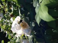 View photo in a new window