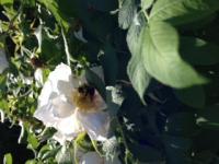 View photo in a new window