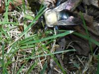 View photo in a new window