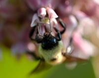 View photo in a new window