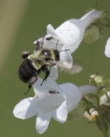 View photo in a new window