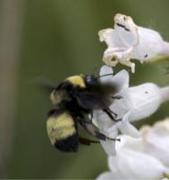 View photo in a new window