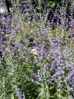 View photo in a new window