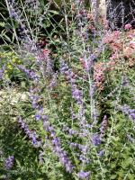 View photo in a new window