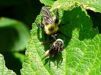 View photo in a new window