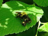 View photo in a new window