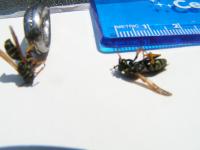 View photo in a new window