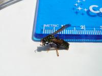 View photo in a new window