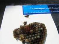 View photo in a new window