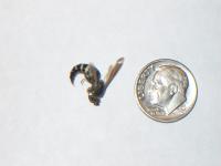 View photo in a new window