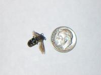 View photo in a new window