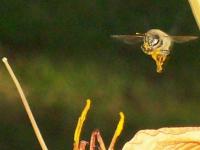 View photo in a new window