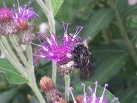 View photo in a new window