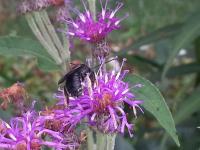 View photo in a new window