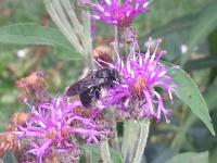 View photo in a new window