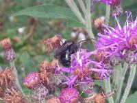 View photo in a new window