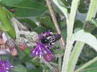 View photo in a new window