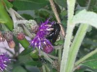 View photo in a new window