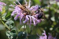 View photo in a new window