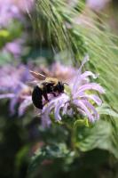 View photo in a new window