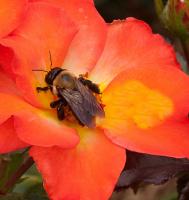 View photo in a new window