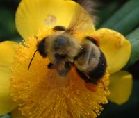 View photo in a new window