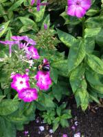 View photo in a new window