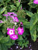 View photo in a new window