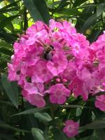 View photo in a new window