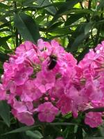 View photo in a new window