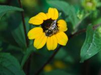 View photo in a new window