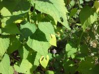 View photo in a new window