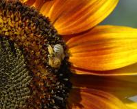 View photo in a new window