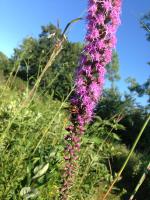 View photo in a new window