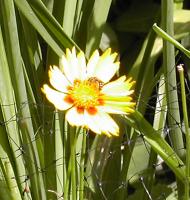 View photo in a new window